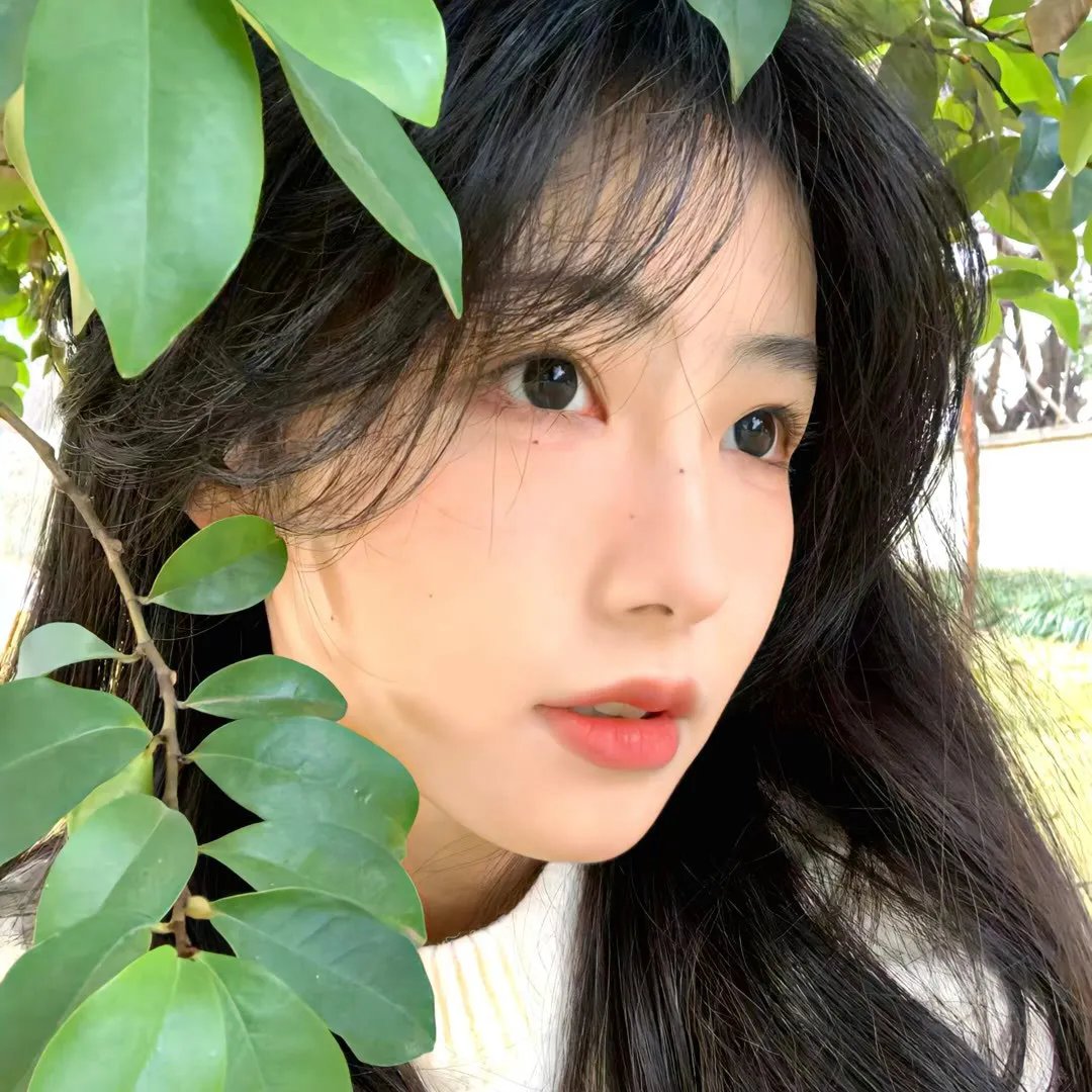 京城怪物第二季